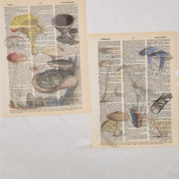 Mushroom Dictionary Prints 2, Colorful Mushroom Prints, Book Page Prints - Picture 5 of 6